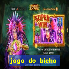 jogo do bicho preferida matinal